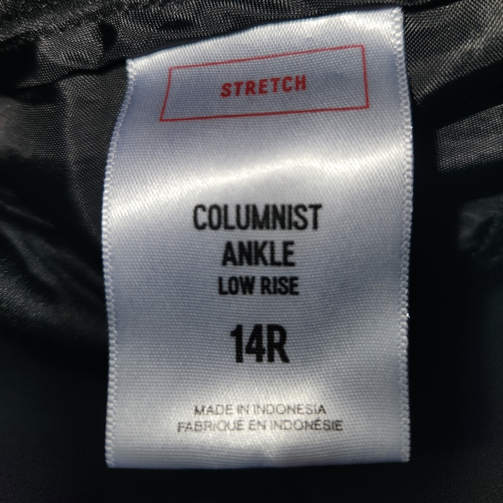 Never worn  Express Columnist pants